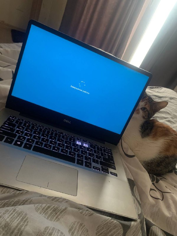 Dell Inspiron 5485