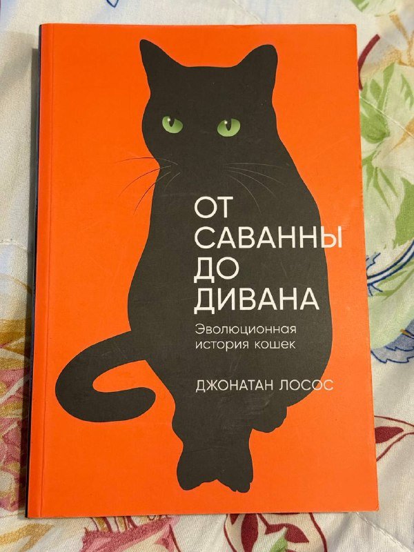От саванны до дивана, Лучше посмотреть еще раз
