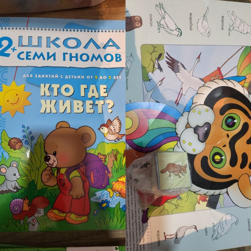 Книги серии Школа семи гномов 2+ с дидактическими материалами