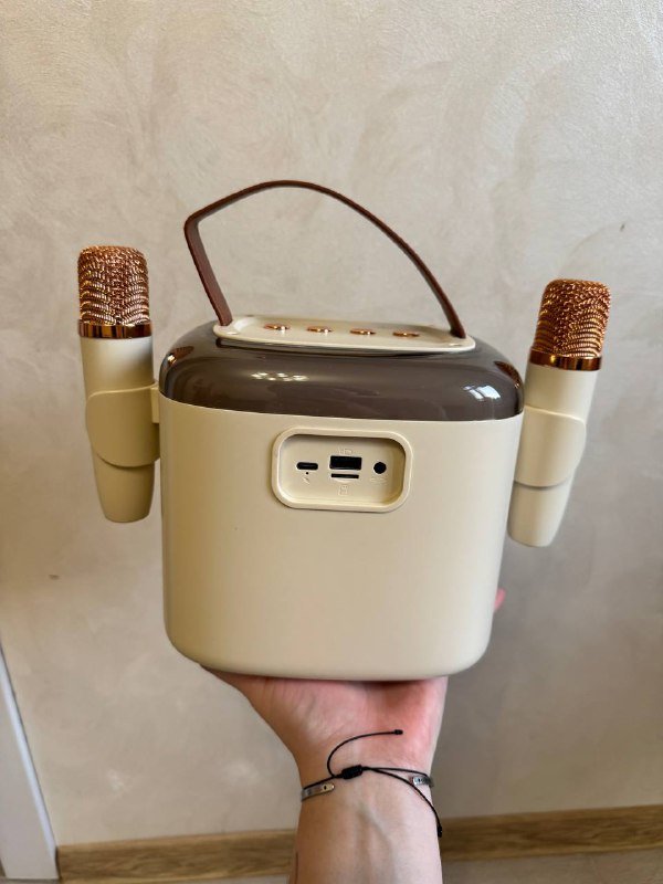 Караоке-станция NewRixing NR-8805 с 2 микрофонами 3