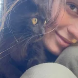 Котята в добрые руки 9