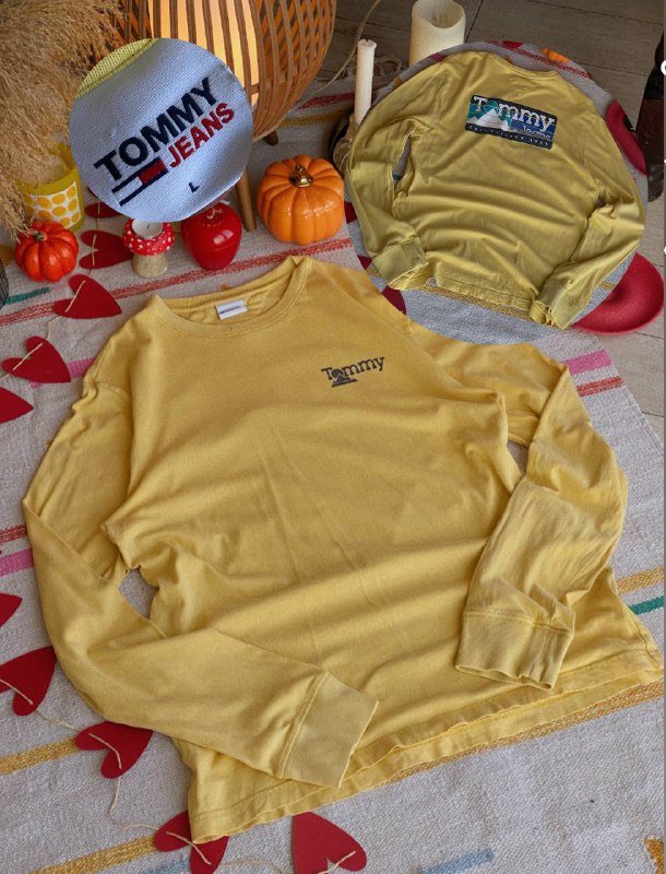 Лонгсливы Tommy Hillfiger, Nike ACG, Vans