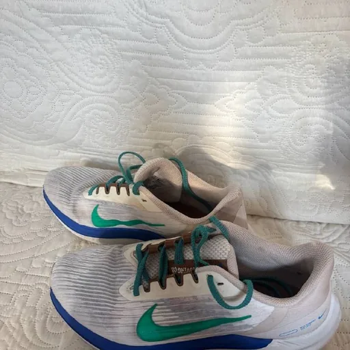 Nike Air Winflo 9 premium кроссовки