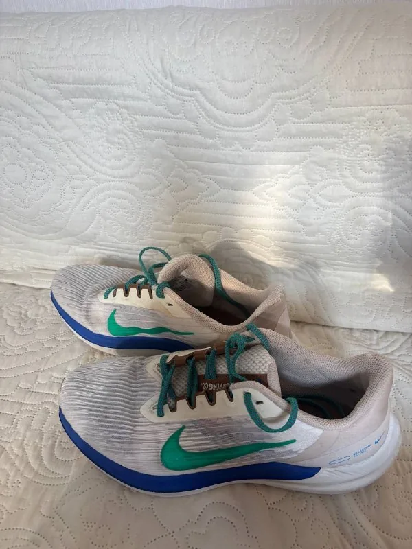 Nike Air Winflo 9 premium кроссовки 1