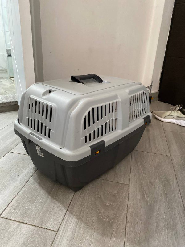 Фурминатор, витамины, успокоин, переноска, кошачий комплекс, корм, колтунорез, шлейка, спрей, лоток 5