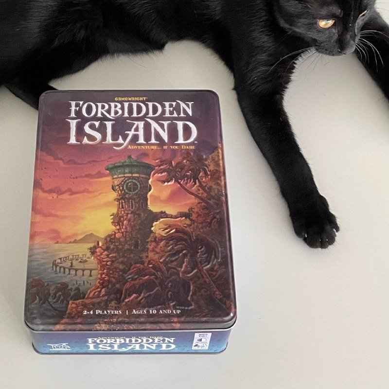 7 Wonders Duel, Pandemic, The Search For Planet X, Forbidden Island, The Mind 5