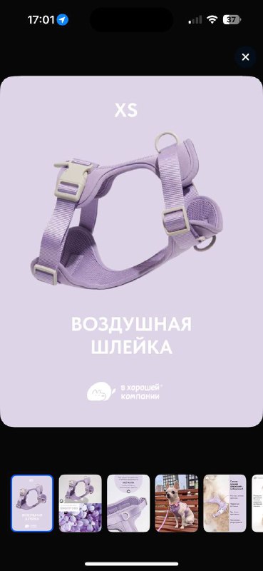 Шлейка для собаки, новая 2