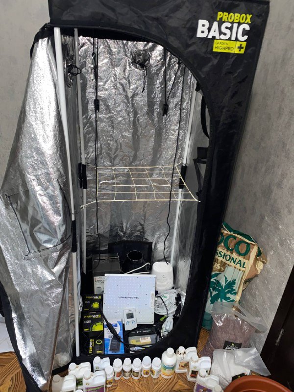 Набор юного садовода Growbox