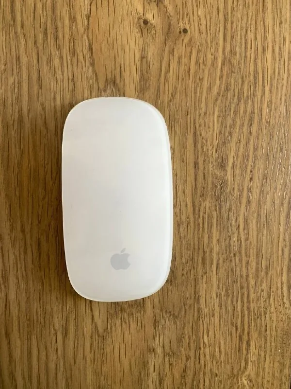 Apple Magic Mouse 1