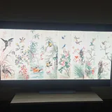 LG OLED TV C5 65" 2