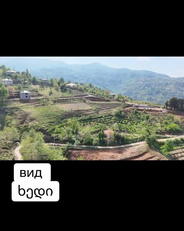 земляной участок в Батуми 5000 кв.м с видом на море и горы 6
