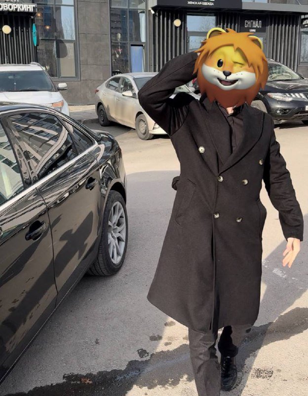 Мужское итальянское классическое пальто Giotelli размер 46