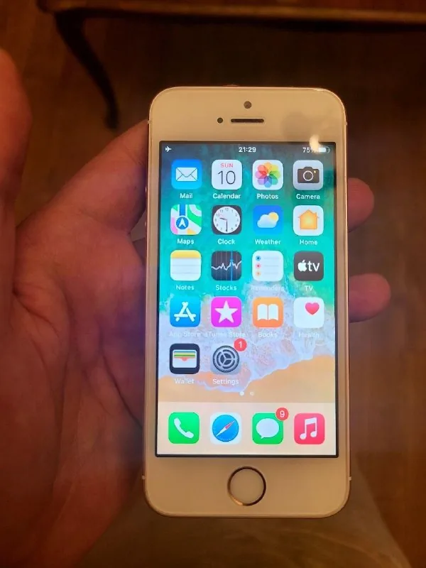 iPhone SE 1