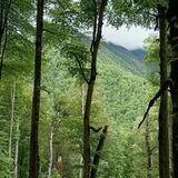 Хайк к водопаду Ниносхеви 3