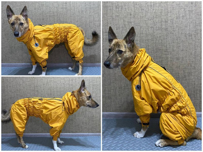 Дождевик комбинезон для собаки Balu горчичный L60