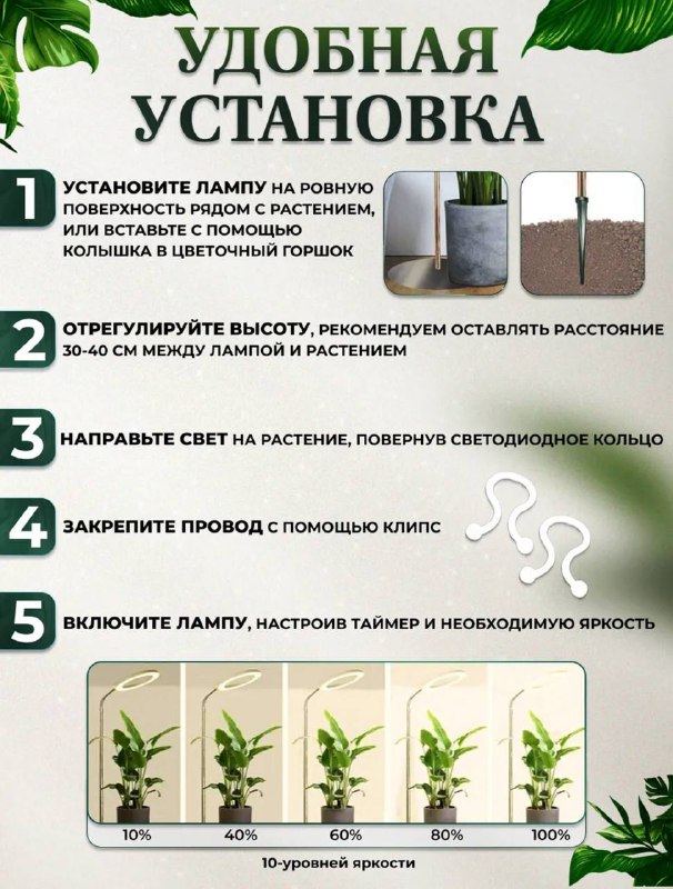 Фитолампа для домашних растений 4