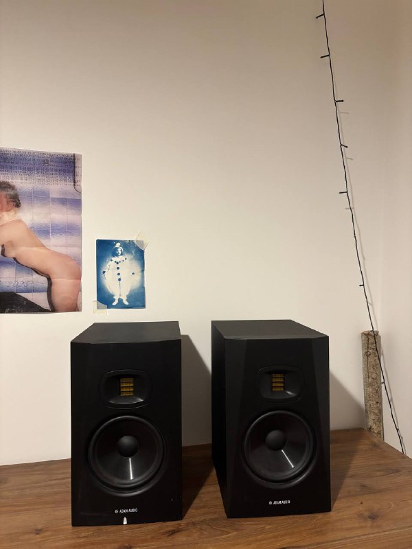 Студийные мониторы ADAM Audio T7V