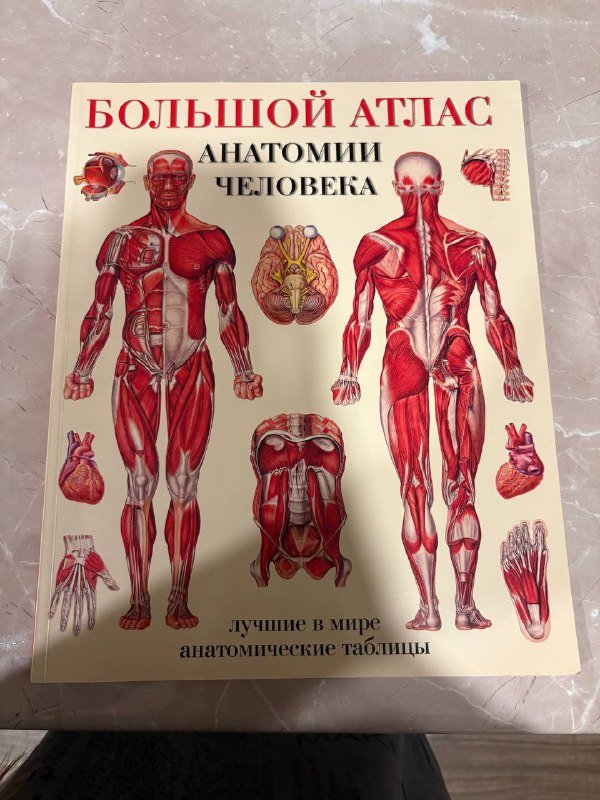 Атлас по Анатомии, Русско-грузинский словарь