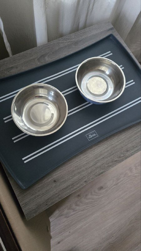 Коврик и миски, поводок рулетка, шлея и поводок, доска для отжимания, боксёрские перчатки с бинтами, тренажёры