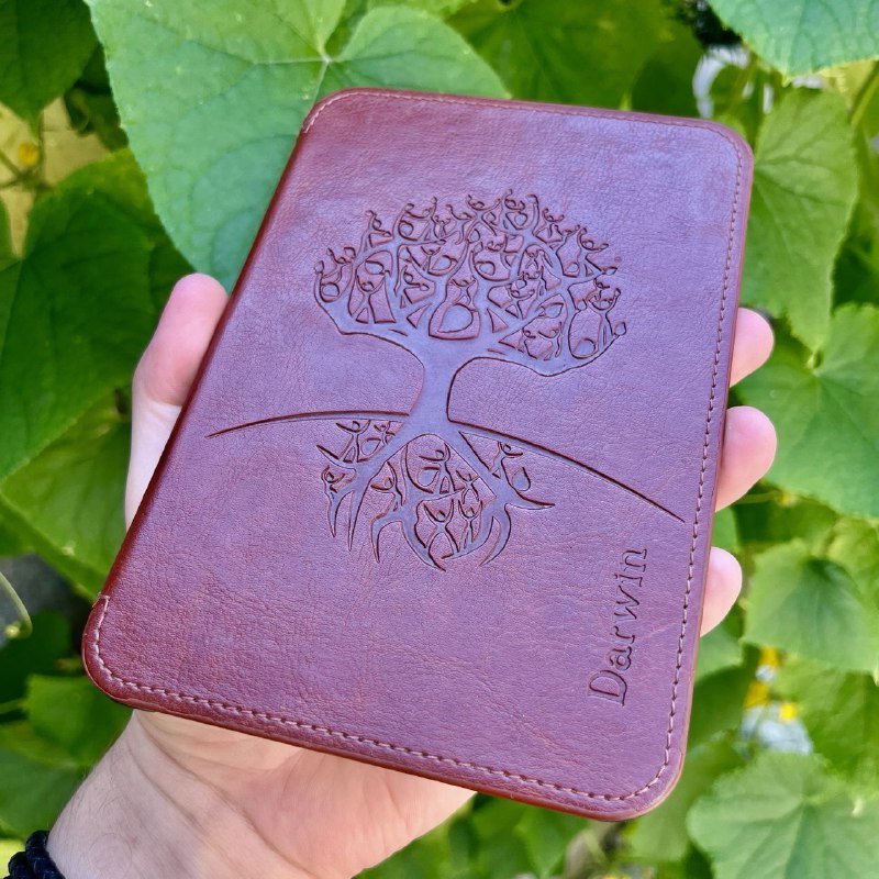 Электронная книга резер Onyx Boox Darwin, 6" экран, 8GB