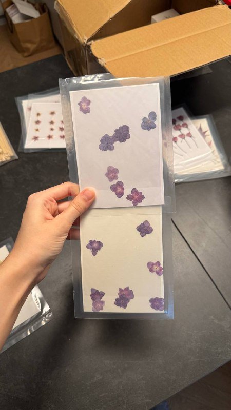 Сухоцветы в вакуумных упаковках, Вереск, Одуванчики, Лепестки василька 6