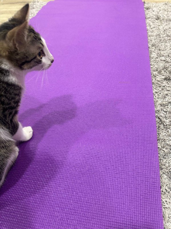 фиолетовый коврик для йоги