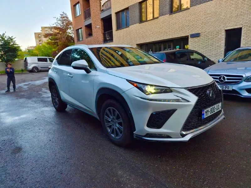 Lexus NX 300 2019 1