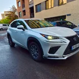 Lexus NX 300 2019 1