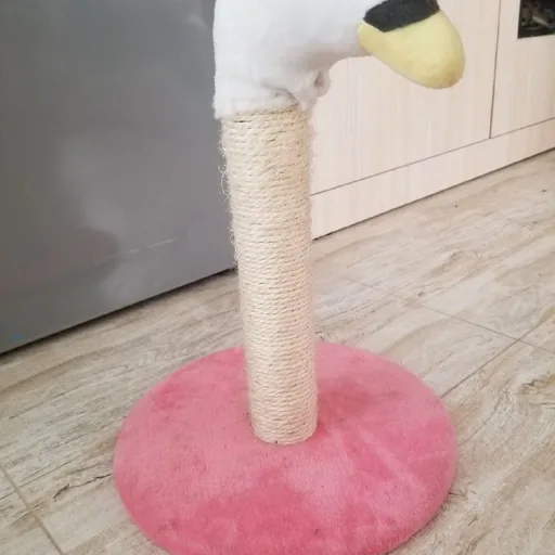 Когтеточка, сумка