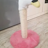 Когтеточка, сумка 1