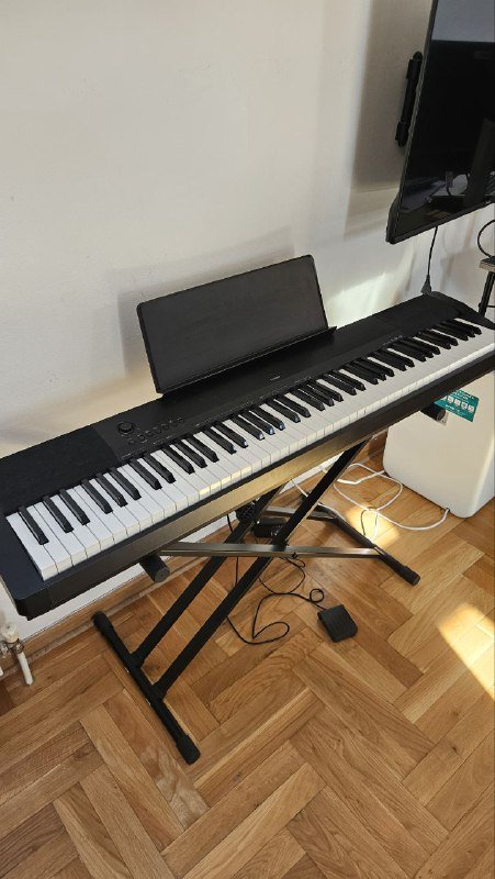 Цифровое пианино Casio CDP-120