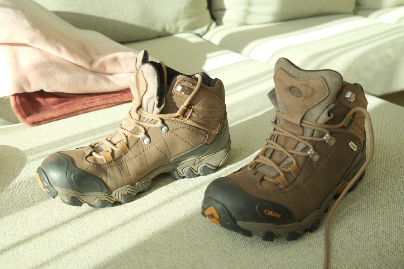 Мужские ботинки Oboz Bridger Mid Waterproof, стельки O FIT Insole Plus II Thermal 2