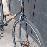 Bear Bike синглспид 2