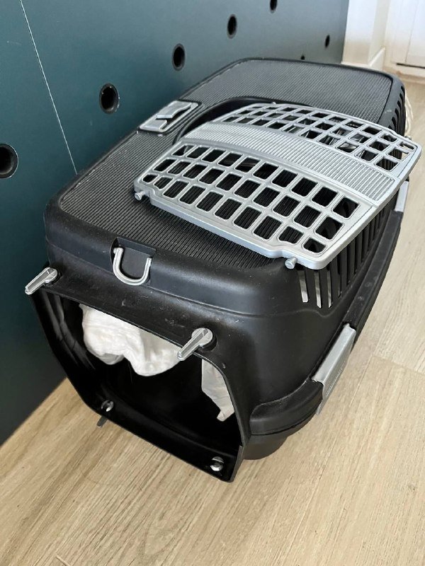 Переноска для кошки или небольшой собаки