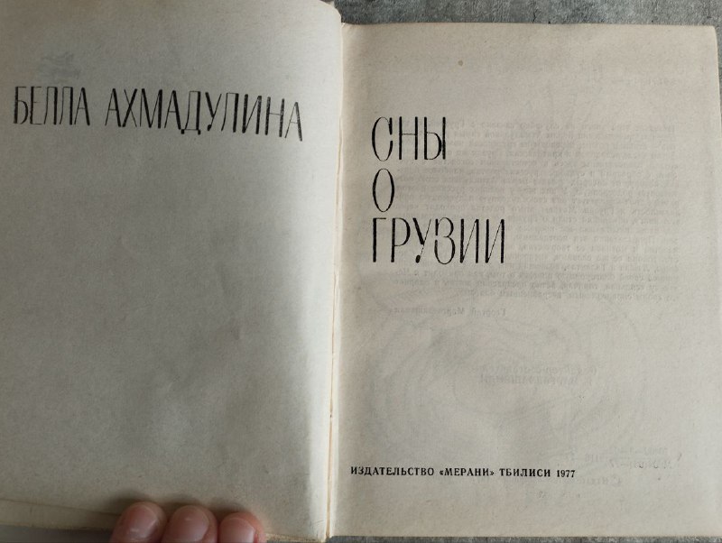 Белла Ахмадулина «Сны о Грузии», Станислав Сагдеев «Мышление предпринимателя» 2