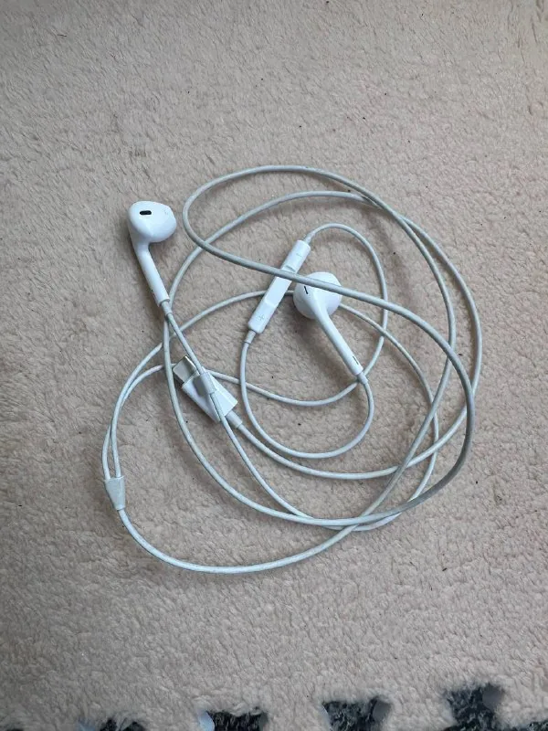 EarPods Type C