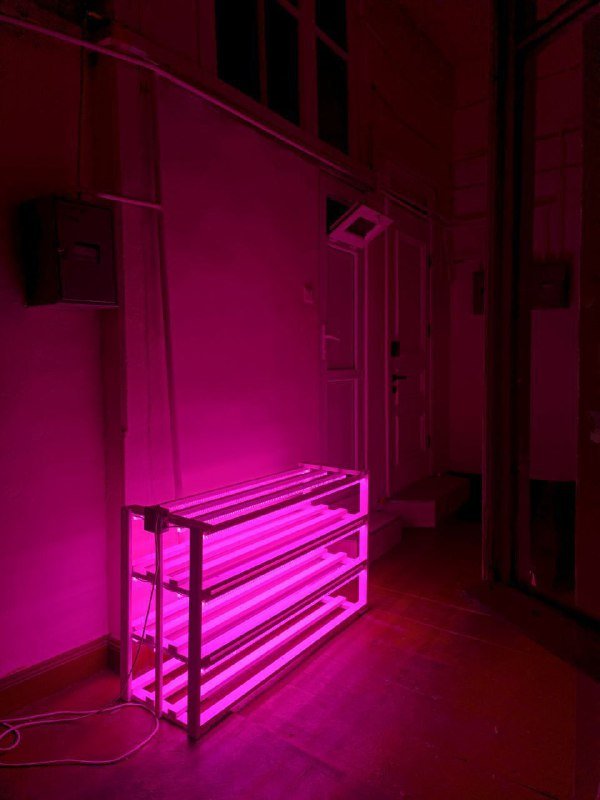 Неоновая полка с фитолампами ручной работы 4