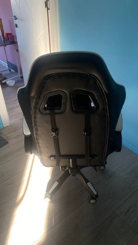 Стул кресло, Айкос, Растение алоказия 3