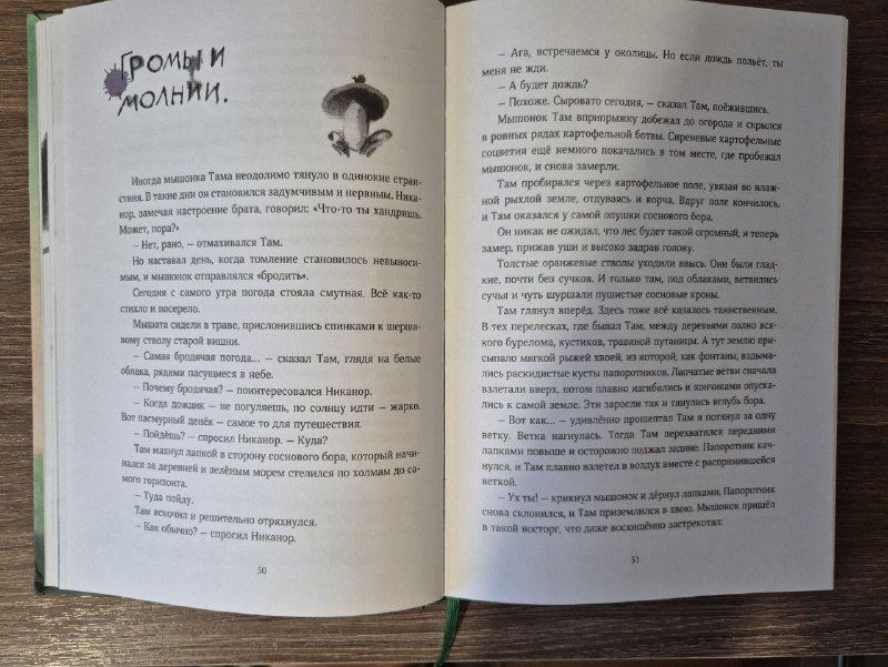 Детская книга Мышонок, который Там 4