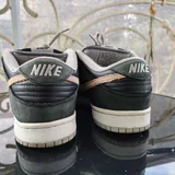 Nike SB Dunk Shadows 4