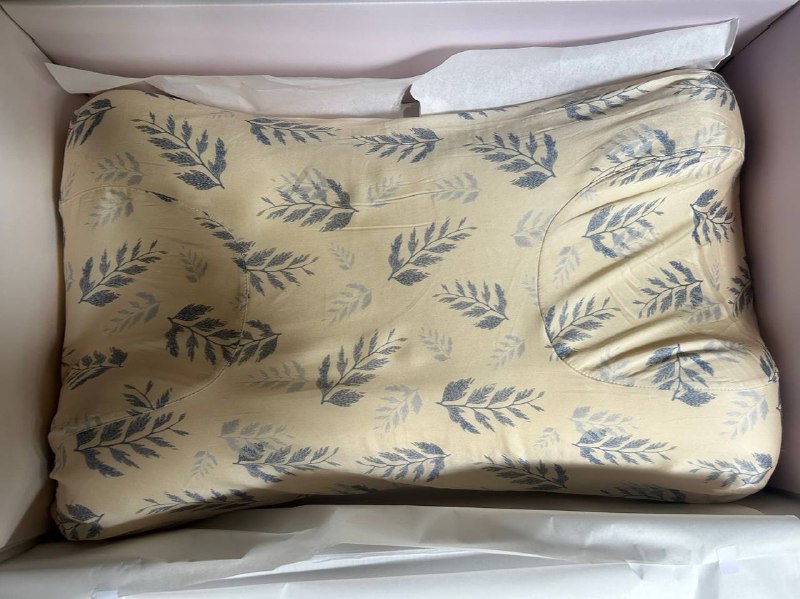 ПОДУШКА OMNIA В НАВОЛОЧКЕ ИЗ ШЕЛКА 4