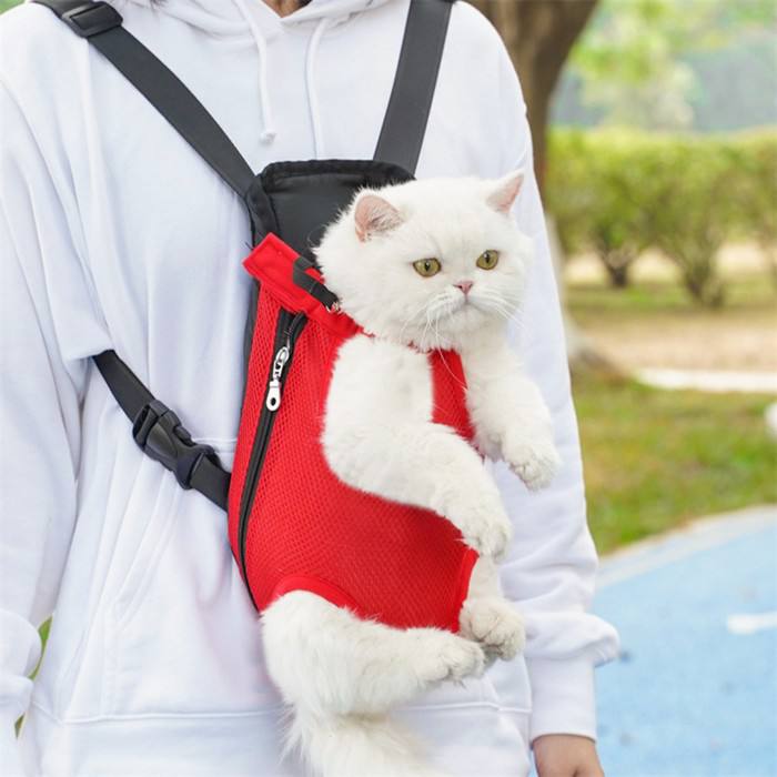 Сумка для Кота для кошки и для животных