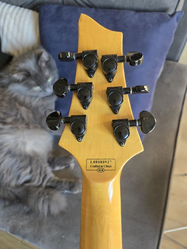 Электро-гитара Schecter Diamond Series Damien Special Edition Floyd Rose 4