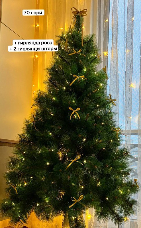 Clothes, water bottle, Christmas tree 3