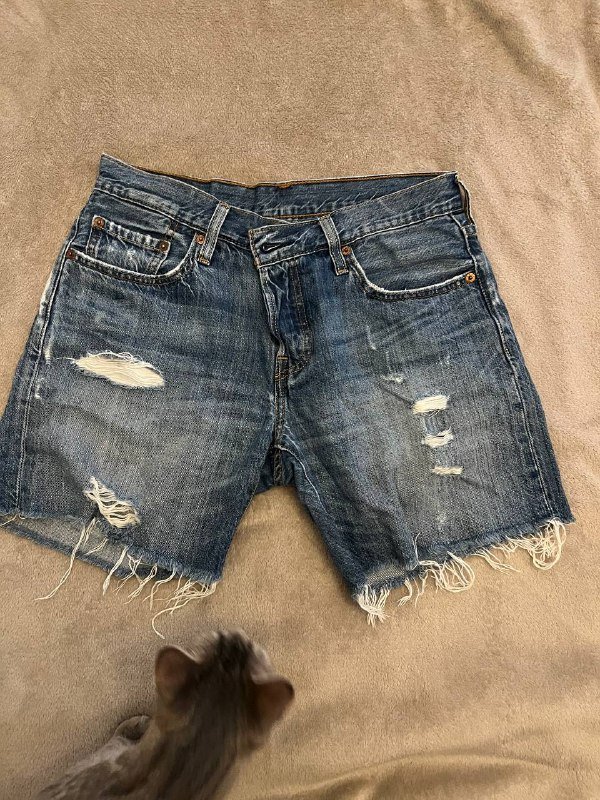 Кепка CHRISTOPHER JOHN ROGERS X J.CREW, Шорты Levi’s 26 размер 4