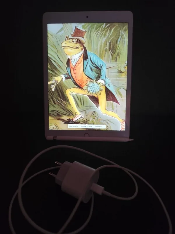 iPad 8 поколения, Apple Pencil, зарядка 1