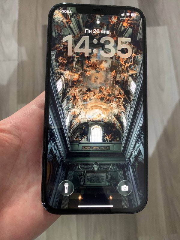 IPhone 12 Pro Max 512 GB