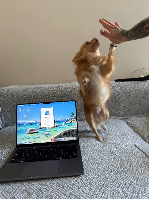 MacBook Pro 14" M2 Pro 32GB RAM 1TB SSD 2