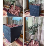 Книги, оливковое дерево, электротурка, стакан, сковородка, чашки, кроссовки 2