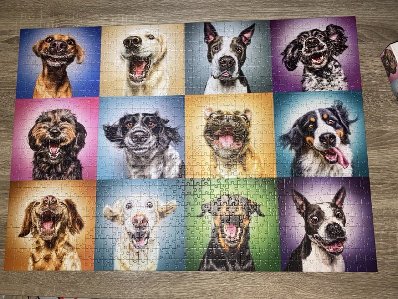 Пазлы с собаками, пазлы с волками